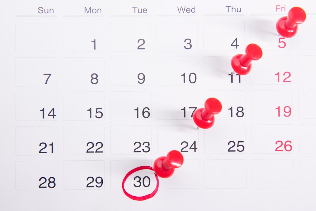 Daily Planner 2024