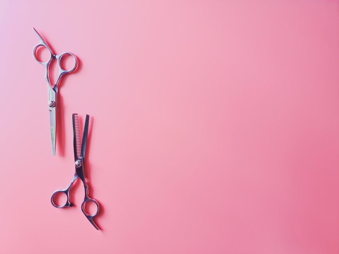 Heavy Duty Scissors